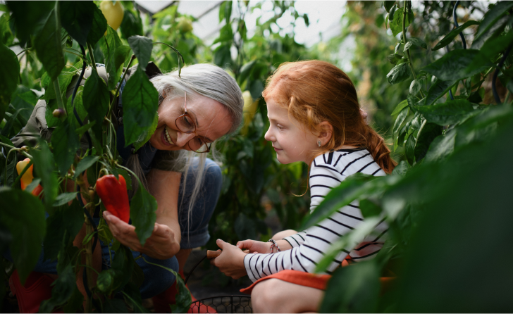 An older woman sits with a young girl in a greenhouse, looking at a capsicum plant.