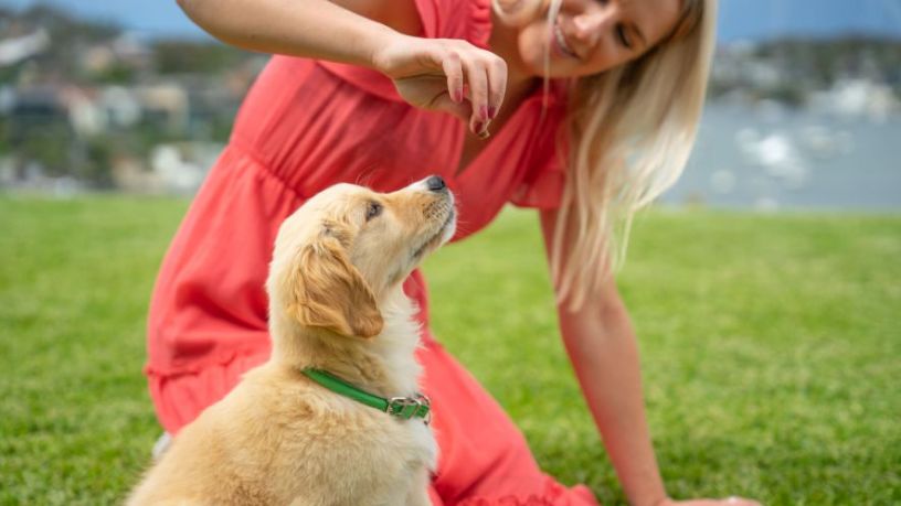 Woman holding up a treat for a little puppy.