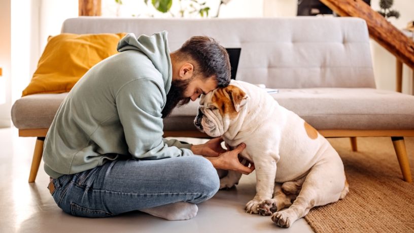 A man and dog sit on the floor and touch heads.