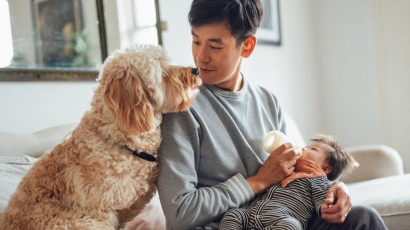 Man on couch feeding baby a bottle of milk while looking at a dog at his shoulder.