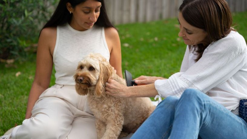 Two women sitting on the lawn, with one petting a dog.