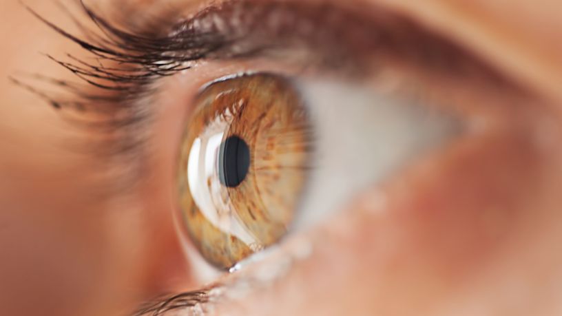 Close up of a women’s eye
