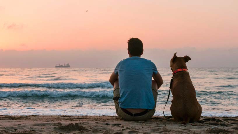 A man and his dog sit on the beach and look out over the ocean.