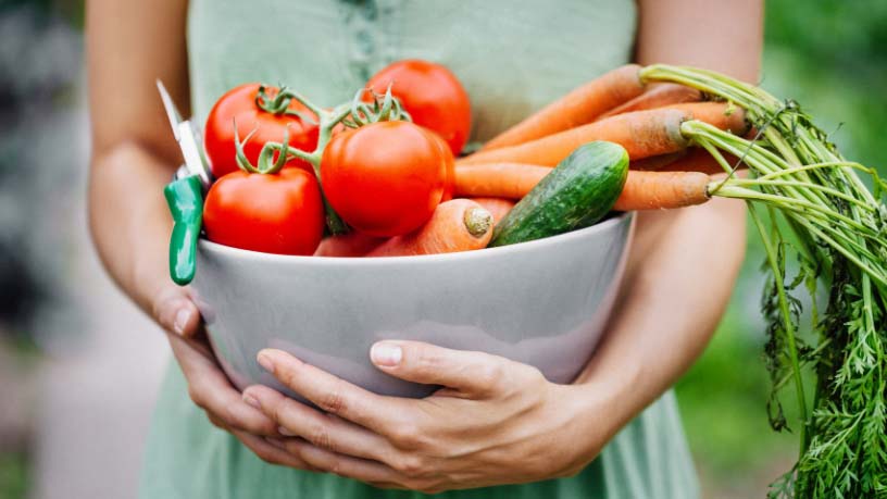 A person holds a bowl overflowing with fresh vegetables.